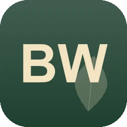 Logo Benjamin Wölfel